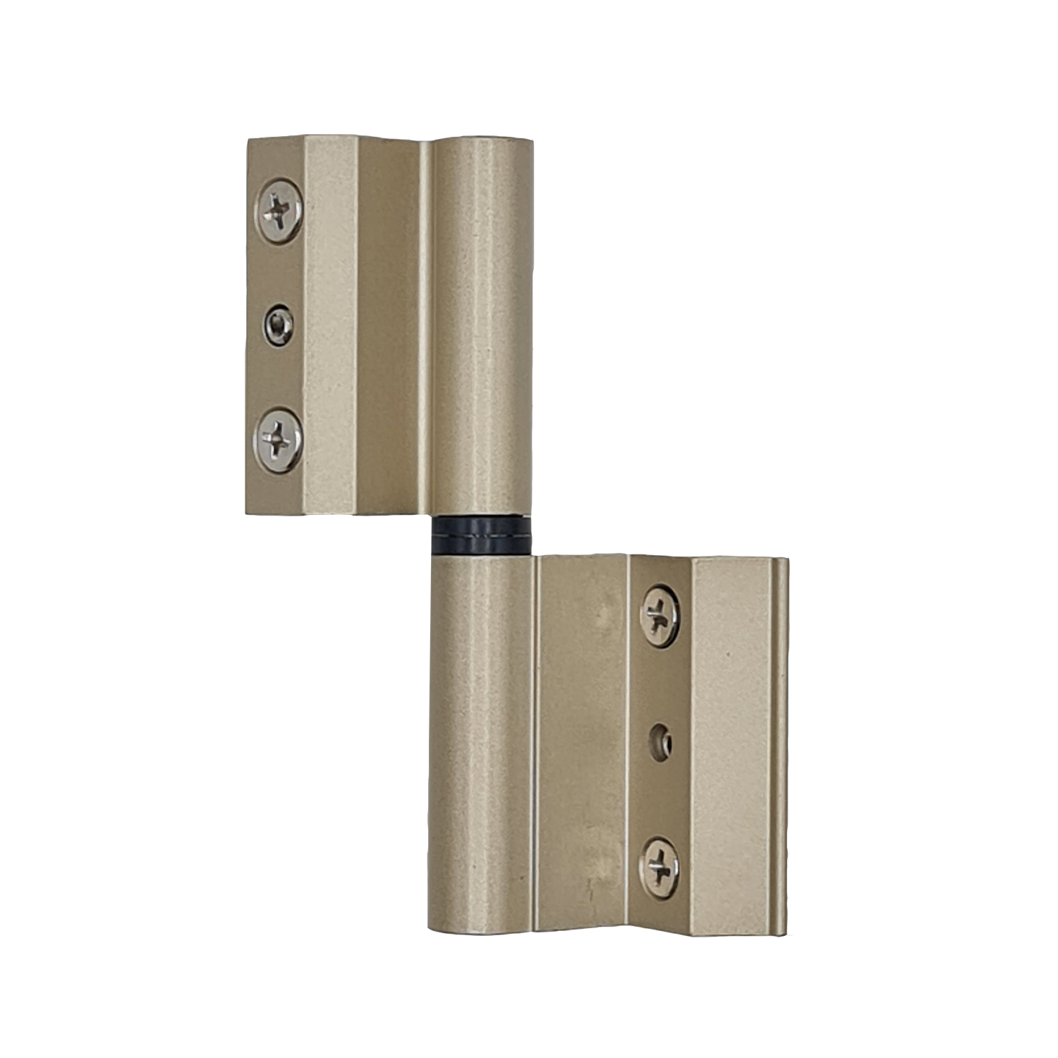 2-wings-hinge-5